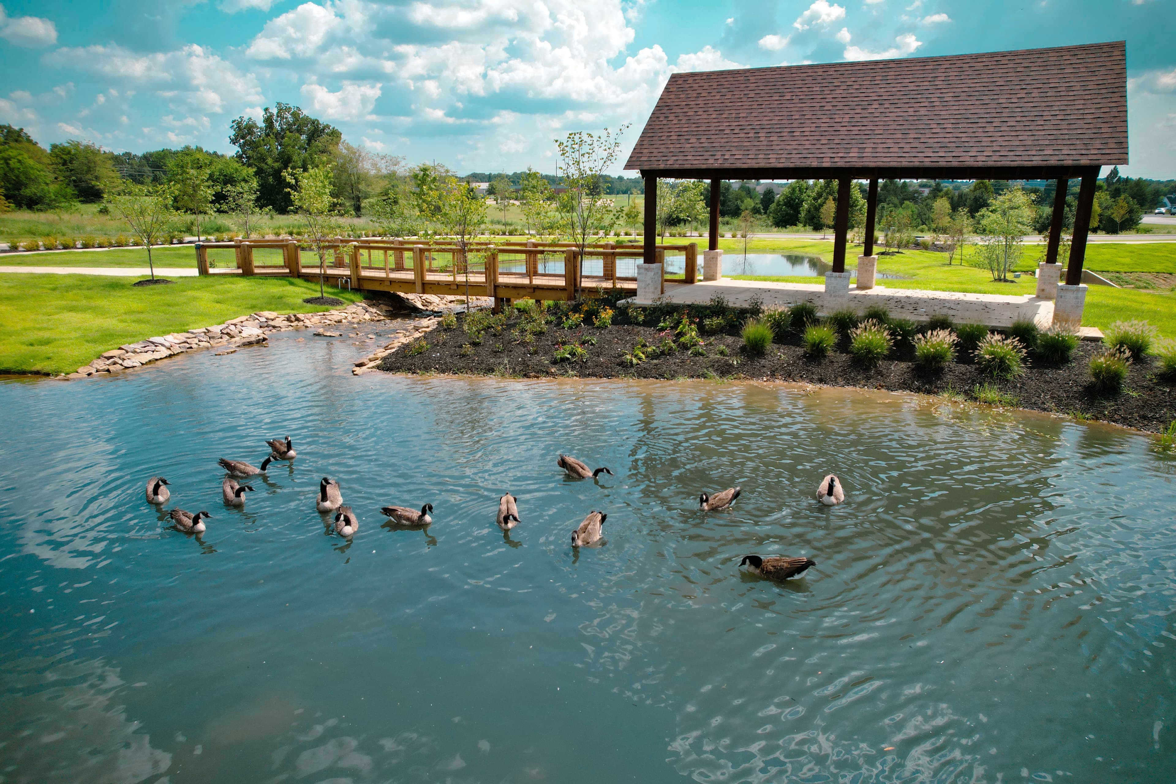 The Reserve at NEA in Jonesboro, AR
